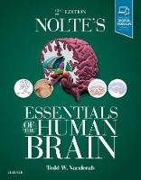 Nolte's Essentials of the Human Brain
