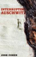 Interrupting Auschwitz (PDF eBook)