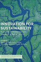 Innovation for Sustainability: Business Transformations Towards a Better World (ePub eBook)