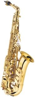 Stentor J. Michael Alto Saxophone Outfit