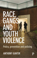 Race, Gangs and Youth Violence: Policy, Prevention and Policing (PDF eBook)