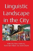 Linguistic Landscape in the City (ePub eBook)