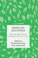 Enabling Eco-Cities (ePub eBook)