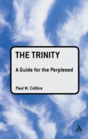 The Trinity: A Guide for the Perplexed (PDF eBook)